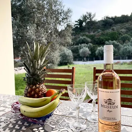 Ferienhaus Marilia Relaxing Home, Afandou